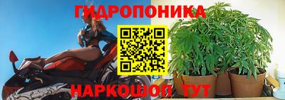 apvp Краснодар